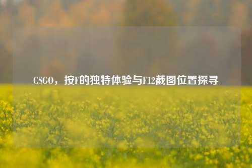 CSGO，按F的独特体验与F12截图位置探寻