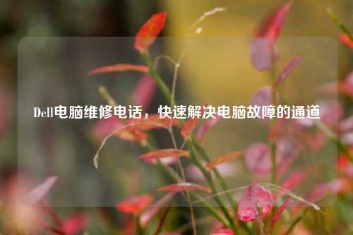 Dell电脑维修电话,快速解决电脑故障的通道