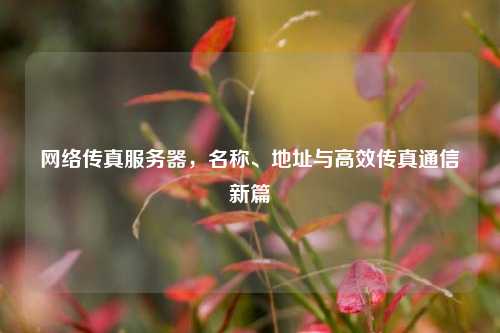 网络传真服务器,名称、地址与高效传真通信新篇