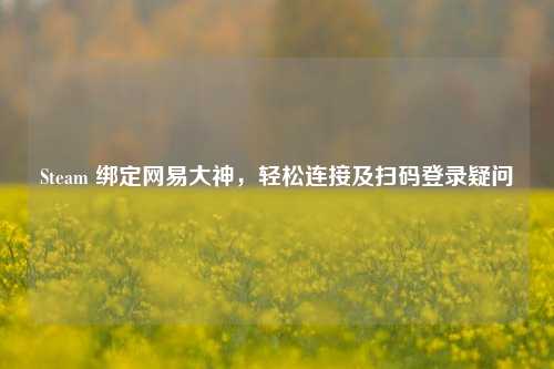 Steam 绑定网易大神,轻松连接及扫码登录疑问