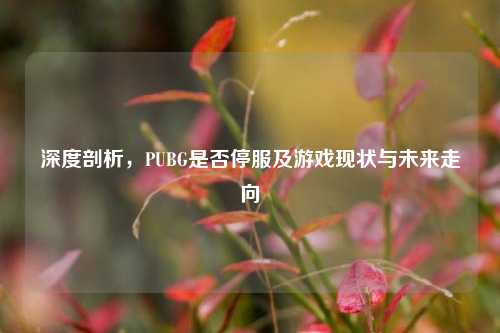 深度剖析,PUBG是否停服及游戏现状与未来走向