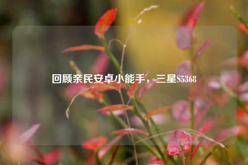 回顾亲民安卓小能手,三星S5368