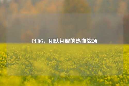 PUBG,团队闪耀的热血战场