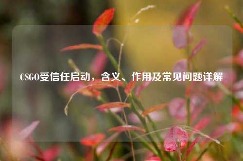 CSGO受信任启动,含义、作用及常见问题详解