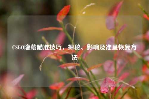 CSGO隐藏瞄准技巧,探秘、影响及准星恢复方法