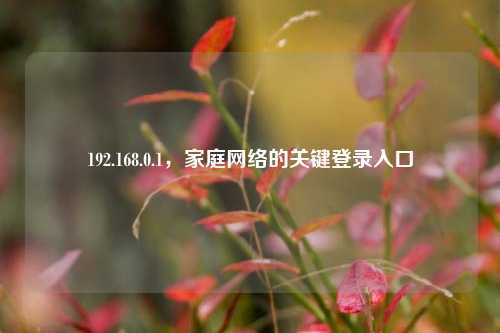 192.168.0.1,家庭网络的关键登录入口