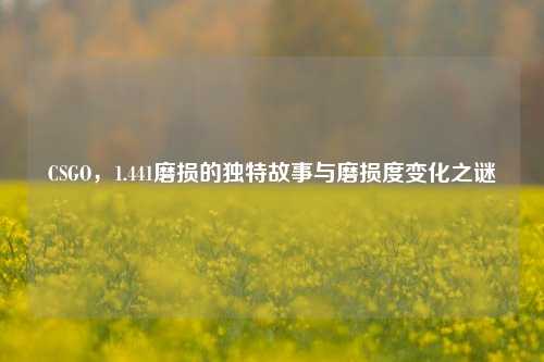 CSGO,1.441磨损的独特故事与磨损度变化之谜