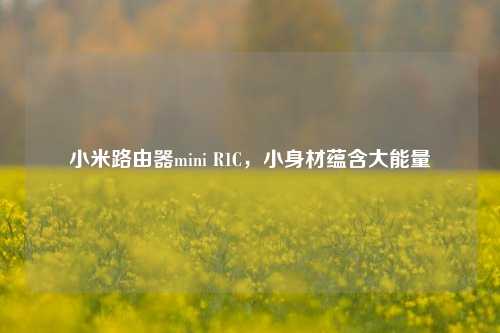 小米路由器mini R1C,小身材蕴含大能量