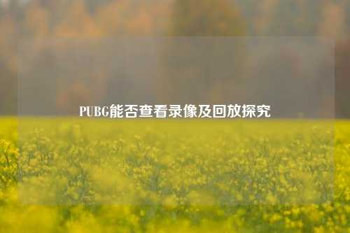 PUBG能否查看录像及回放探究