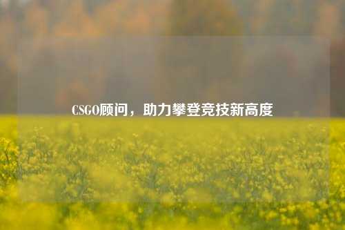 CSGO顾问,助力攀登竞技新高度