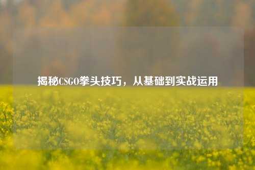 揭秘CSGO拳头技巧,从基础到实战运用