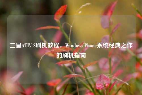 三星ATIV S刷机教程,Windows Phone系统经典之作的刷机指南