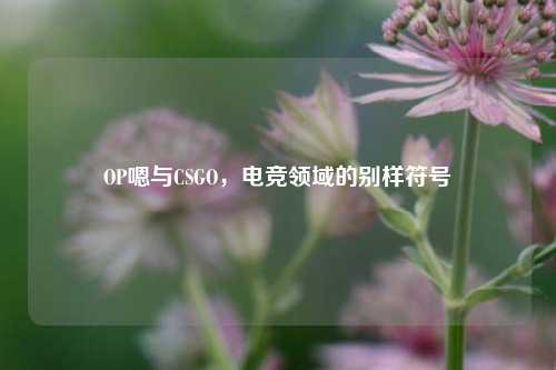 OP嗯与CSGO,电竞领域的别样符号