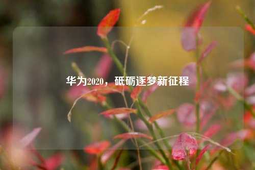 华为2020，砥砺逐梦新征程