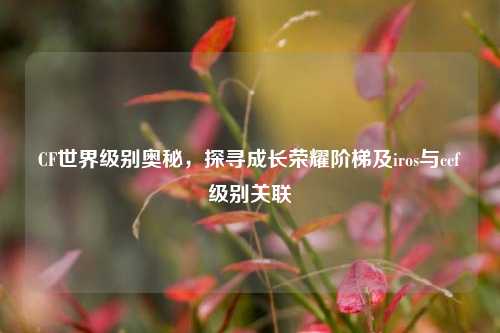 CF世界级别奥秘,探寻成长荣耀阶梯及iros与ccf级别关联