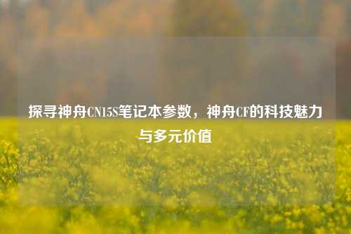 探寻神舟CN15S笔记本参数,神舟CF的科技魅力与多元价值