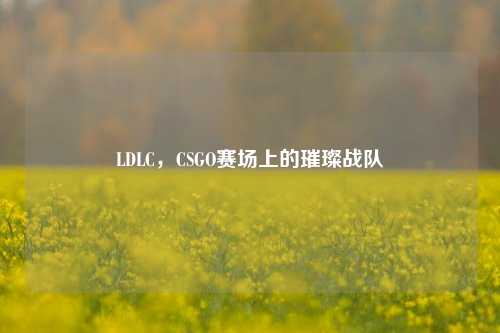 LDLC,CSGO赛场上的璀璨战队
