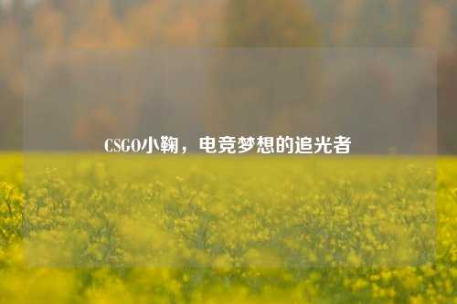 CSGO小鞠,电竞梦想的追光者