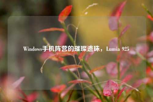 Windows手机阵营的璀璨遗珠,Lumia 925