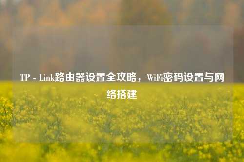 TP - Link路由器设置全攻略,WiFi密码设置与网络搭建