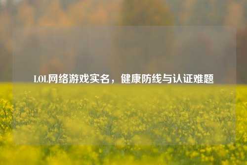LOL网络游戏实名,健康防线与认证难题