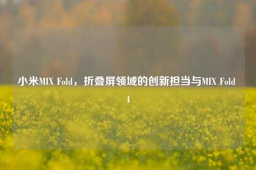小米MIX Fold,折叠屏领域的创新担当与MIX Fold 4