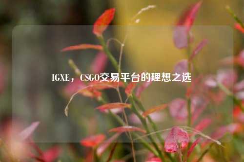 IGXE,CSGO交易平台的理想之选