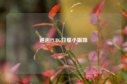 邂逅PUBG日服小姐姐