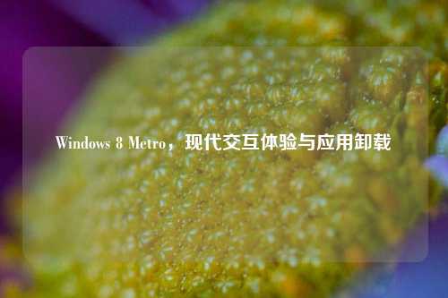 Windows 8 Metro,现代交互体验与应用卸载