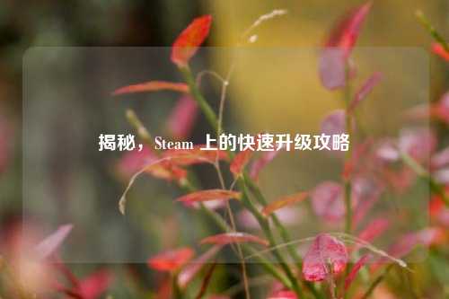 揭秘,Steam 上的快速升级攻略