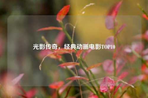 光影传奇,经典动画电影TOP10