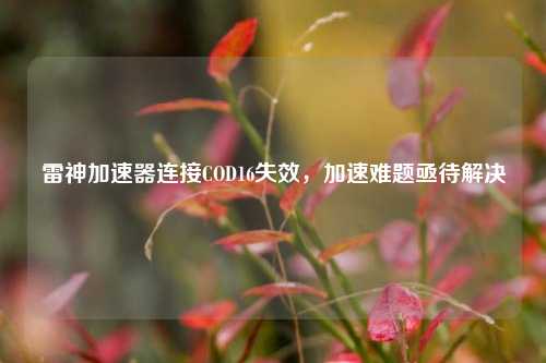 雷神加速器连接COD16失效,加速难题亟待解决