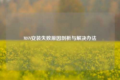 MSN安装失败原因剖析与解决办法