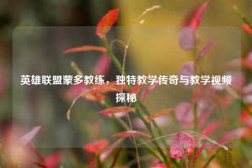 英雄联盟蒙多教练，独特教学传奇与教学视频探秘