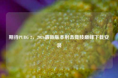 期待PUBG 2,2026最新版本射击竞技巅峰下载安装