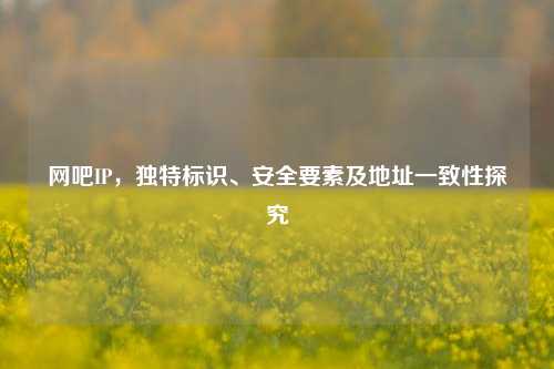 网吧IP,独特标识、安全要素及地址一致性探究