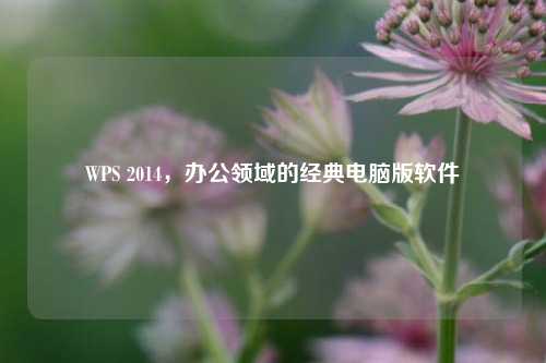 WPS 2014,办公领域的经典电脑版软件