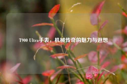 T900 Ultra手表,机械传奇的魅力与遐想