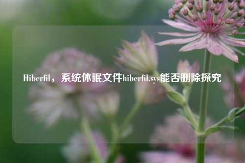 Hiberfil，系统休眠文件hiberfil.sys能否删除探究