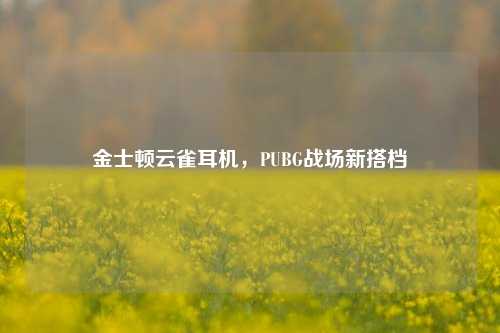 金士顿云雀耳机,PUBG战场新搭档