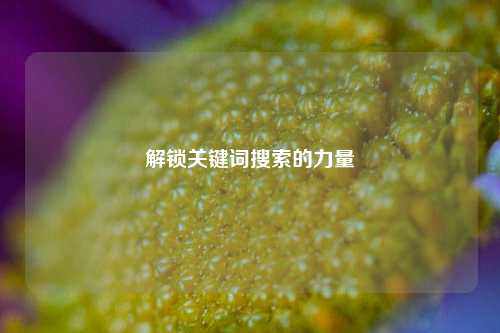 解锁关键词搜索的力量
