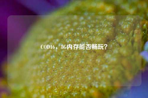 COD16,8G内存能否畅玩?