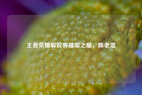 王者荣耀解说界璀璨之星,陈老湿