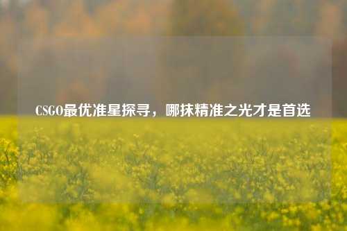 CSGO最优准星探寻,哪抹精准之光才是首选