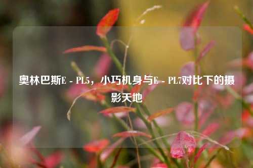 奥林巴斯E - PL5,小巧机身与E - PL7对比下的摄影天地