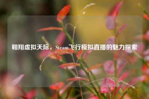 翱翔虚拟天际，Steam飞行模拟直播的魅力探索