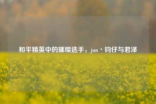 和平精英中的璀璨选手,jun丶钧仔与君泽