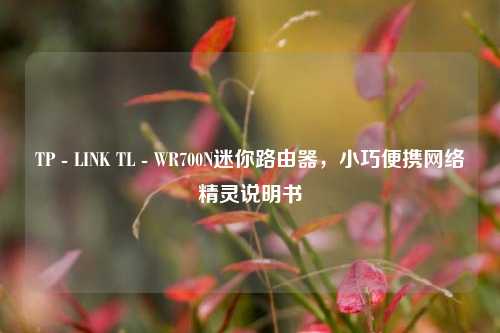 TP - LINK TL - WR700N迷你路由器,小巧便携网络精灵说明书