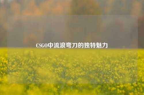 CSGO中流浪弯刀的独特魅力