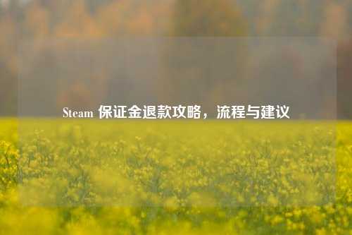 Steam 保证金退款攻略,流程与建议